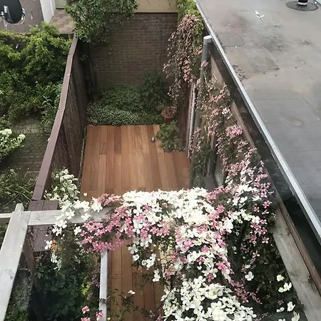 Apartament Cozy Flower Fountain Haarlem